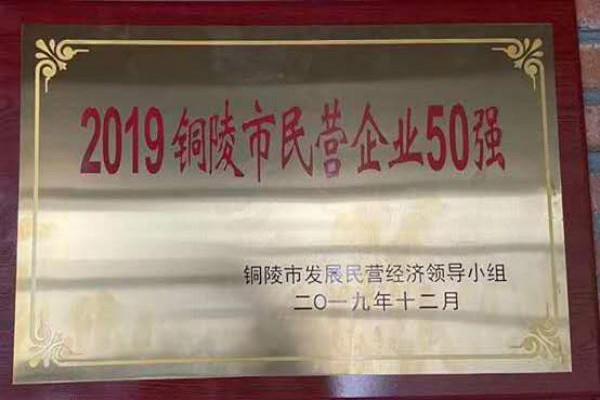 2019銅陵市民營(yíng)企業(yè)50強(qiáng)